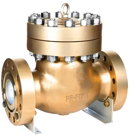 BRONZE CHECK VALVE