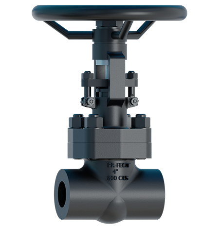 FORGED GLOBE VALVE