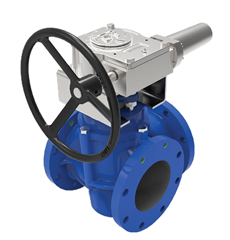 MULTI-PORT PLUG VALVE