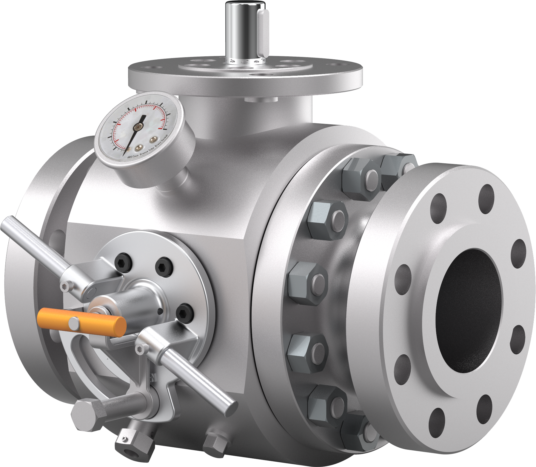 PIG VALVE